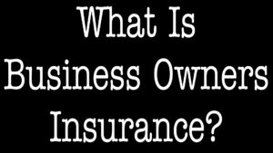 what is business owners insurance