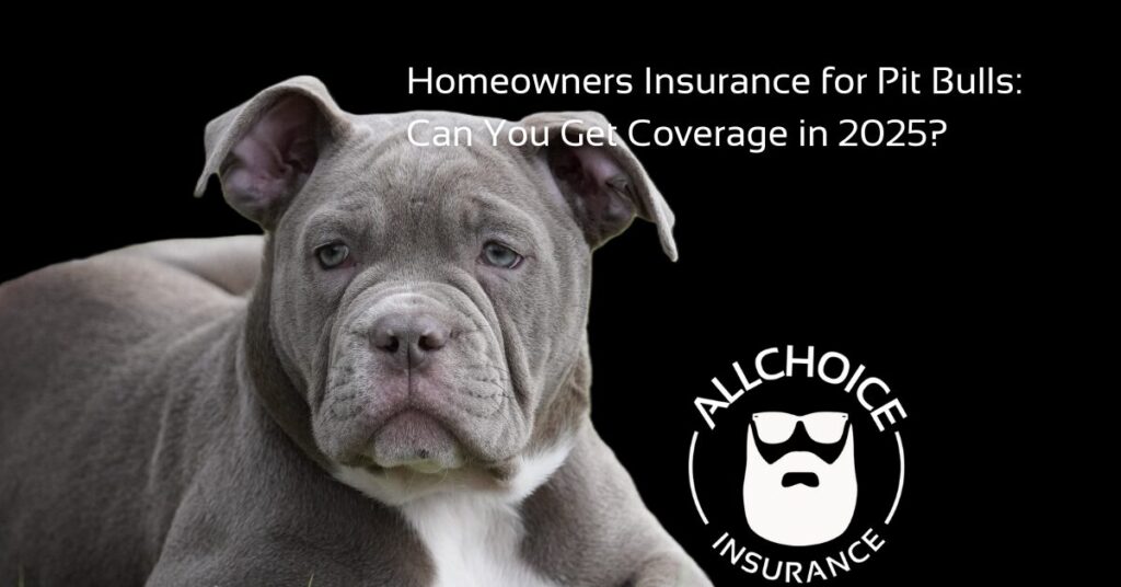 ALLCHOICE Insurance Blog Homeowners Insurance Homeowners Insurance for Pit Bulls Can You Get Coverage in 2025
