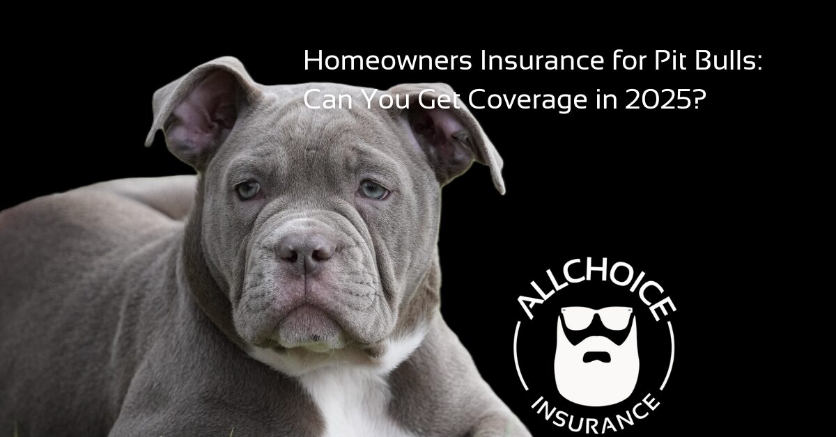 ALLCHOICE Insurance Blog Homeowners Insurance Homeowners Insurance for Pit Bulls Can You Get Coverage in 2025